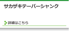 サカザキテーパーシャンク